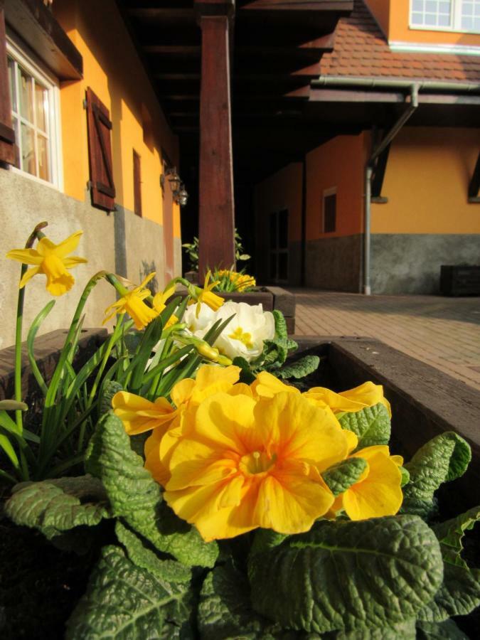 Maison D'Hotes La Ferme Pierre*** Donnenheim Εξωτερικό φωτογραφία