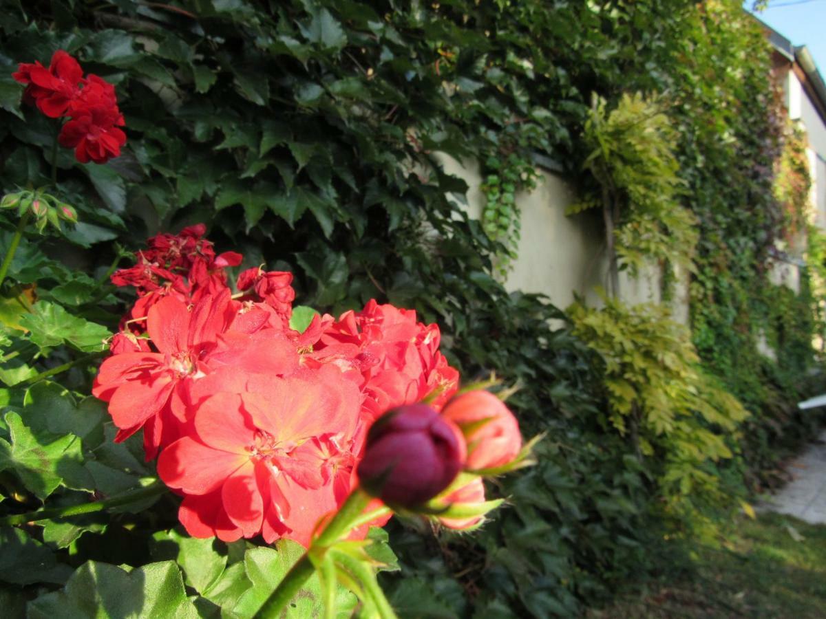 Maison D'Hotes La Ferme Pierre*** Donnenheim Εξωτερικό φωτογραφία